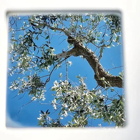 Pietrefitte Country house *