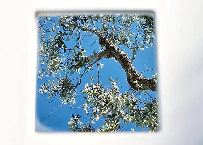 Pietrefitte Country house *