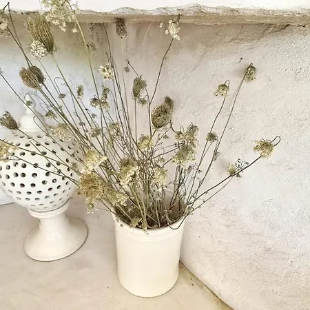 Country house Pietrefitte Ostuni